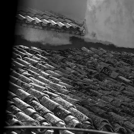 Dimora Camelia Lucera