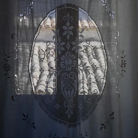 公寓 Dimora Camelia